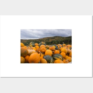 Pumpkins in fall Posters and Art